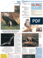 Wildlife Fact File - Birds - Pgs. 91-100