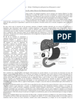 Cómo y Por Qué Hacer La Limpieza Hepática (Y La Renal)