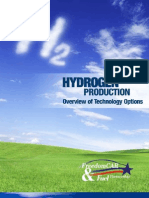 Hydrogen Production