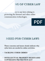 Cyber Laws