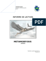 Informe Metamorfosis