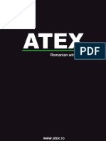 Atex English