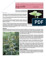 Stinging Nettle: Integrated Pest Management Prescription