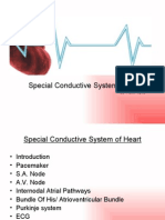 Special Conductive System of Heart: By: Azher Syed