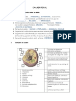 EXAMEN FINAL-2 (Con Respuestas)