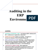 Auditing in Erp Environment