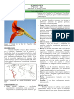 001 Brasicales Tropaeolaceae PDF