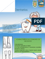 Anatomia Dental Expo 2