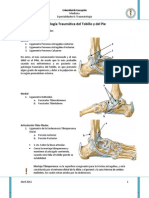 05 - Traumatismo de Tobillo y Pie