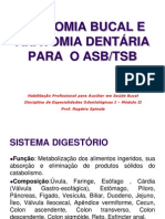 Anatomia Bucal e Dentária