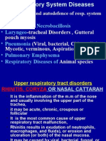 Rhinitis in Domestic Animals