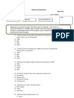 Prueba de Diagnostico 4 BASICO CIENCIAS