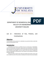 Lab Detections of Fats, Proteins, and Carbohydrates