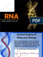 Rna PDF