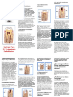 Que Es Una Endodoncia