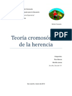 Teoria Cromosomica de La Herencia