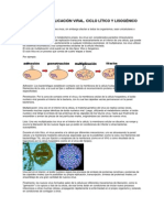 Ciclo de Multiplicación Viral