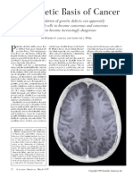 The Genetic Basis of Cancer