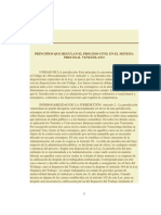 Principios Que Regulan El Proceso Civil en El Sistema Procesal Venezolano