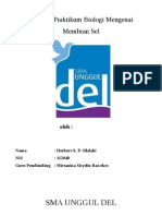 Laporan Praktikum Biologi-Membran Sel
