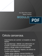 Modulo V - Citologia