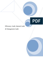 Efficiency Audit, Internal Audit & Management Audit