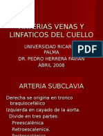 ARTERIAS Y VENAS DEL CUELLO - Dr. Herrera