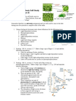 A2 Photosynthesis Homework Study