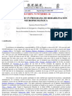 Planificación de Un Programa de Rehabilitación Neuropsicológica