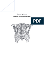 Scapular Dyskinesis PDF