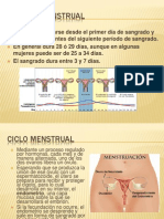 El Ciclo Menstrual