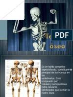 Diapositiva Del Tejido Oseo