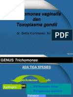 Trichomonas Vaginalis