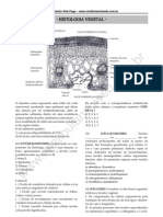 Histologia Vegetal NoPW