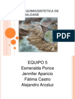 Expo Teoria Quimiosintetica de Oparin y Haldane2