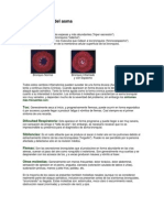 Caracteristicas Del Asma
