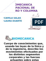 Biomecanica Ocupacional de Hombro y Columna