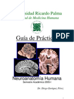 Guia de Neuroanatomia URP - Dr. Enriquez