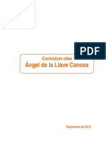 Ángel de La Llave Canosa CV