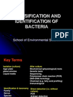 Classification and Indentification of Bacteria