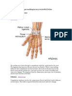 Compartment Syndrome: Return To Top