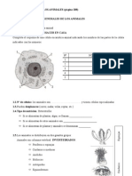 Tema 11 Los Animales in Vertebra Dos