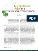 Selva Seca Veracruzana PDF