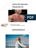 Morfofisiologia Sistema Respiratorio APH