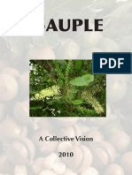 Bauple Vision Report