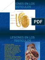 Lesiones en Los Testiculos - Futura Médica