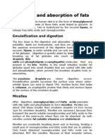 Digestion and Absorption of Fats