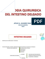 22 Patologia Quirurgica Del Intestino Delgado 2011