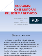 Funciones Motoras Del SN