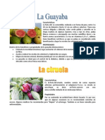 Características Y PROPIEDADES DE FRUTAS